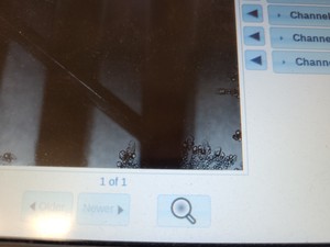 Thumbnail image of ProteinSimple FluorChem M FM0413 Western Blot Imaging System Lab
