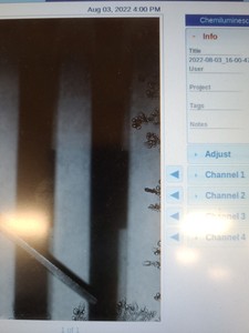 Thumbnail image of ProteinSimple FluorChem M FM0413 Western Blot Imaging System Lab
