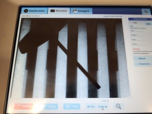 Thumbnail image of ProteinSimple FluorChem M FM0413 Western Blot Imaging System Lab