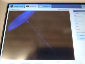 Thumbnail image of ProteinSimple FluorChem M FM0413 Western Blot Imaging System Lab