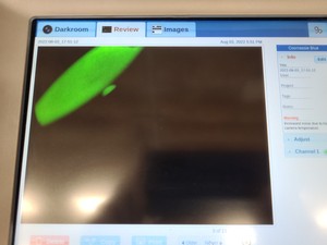 Thumbnail image of ProteinSimple FluorChem M FM0413 Western Blot Imaging System Lab