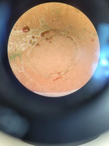 Thumbnail image of Vision Engineering Alpha Stereo Zoom Microscope Lab