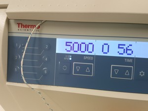 Thumbnail image of Thermo Scientific Heraeus Megafuge 16R Centrifuge & TX-400 5000rpm Rotor Lab