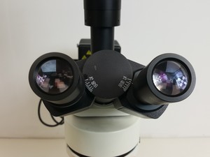 Thumbnail image of GX Microscopes Trinocular Microscope with Q Imaging QICAM & 4 x Objectives Lab