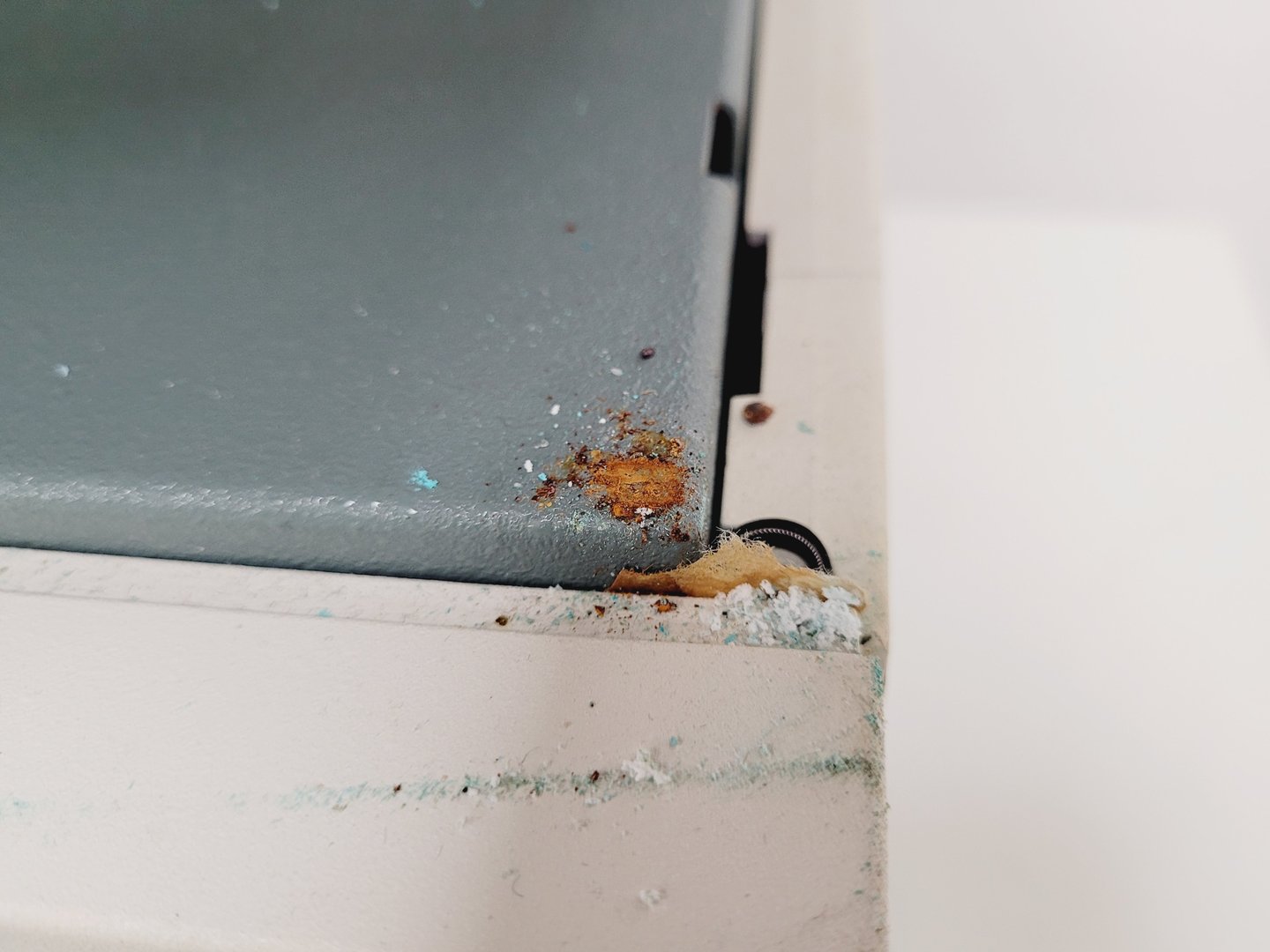 Image of BD FACSCalibur System Flow Cytometer Cell Sorter System Lab