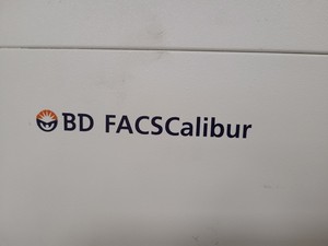 Thumbnail image of BD Biosciences FACSCalibur Cell Sorter System & Software Lab