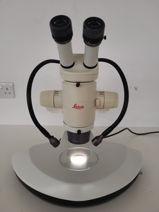 Thumbnail image of Leica MZ95 High-Performance Stereomicroscope Stereo Zoom Lab