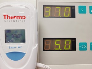 Thumbnail image of Heraeus HeraCell & HeraCell 150 CO2 Laboratory Incubator Stack Lab