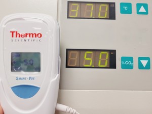 Thumbnail image of Heraeus HeraCell & HeraCell 150 CO2 Laboratory Incubator Stack Lab
