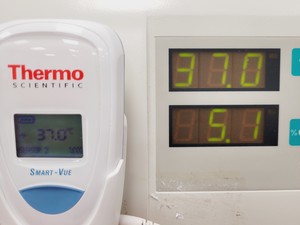 Thumbnail image of Heraeus HeraCell & HeraCell 150 CO2 Laboratory Incubator Stack Lab