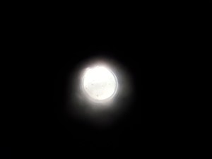 Thumbnail image of Leica Wild M8 Stereo Zoom Microscope Lab