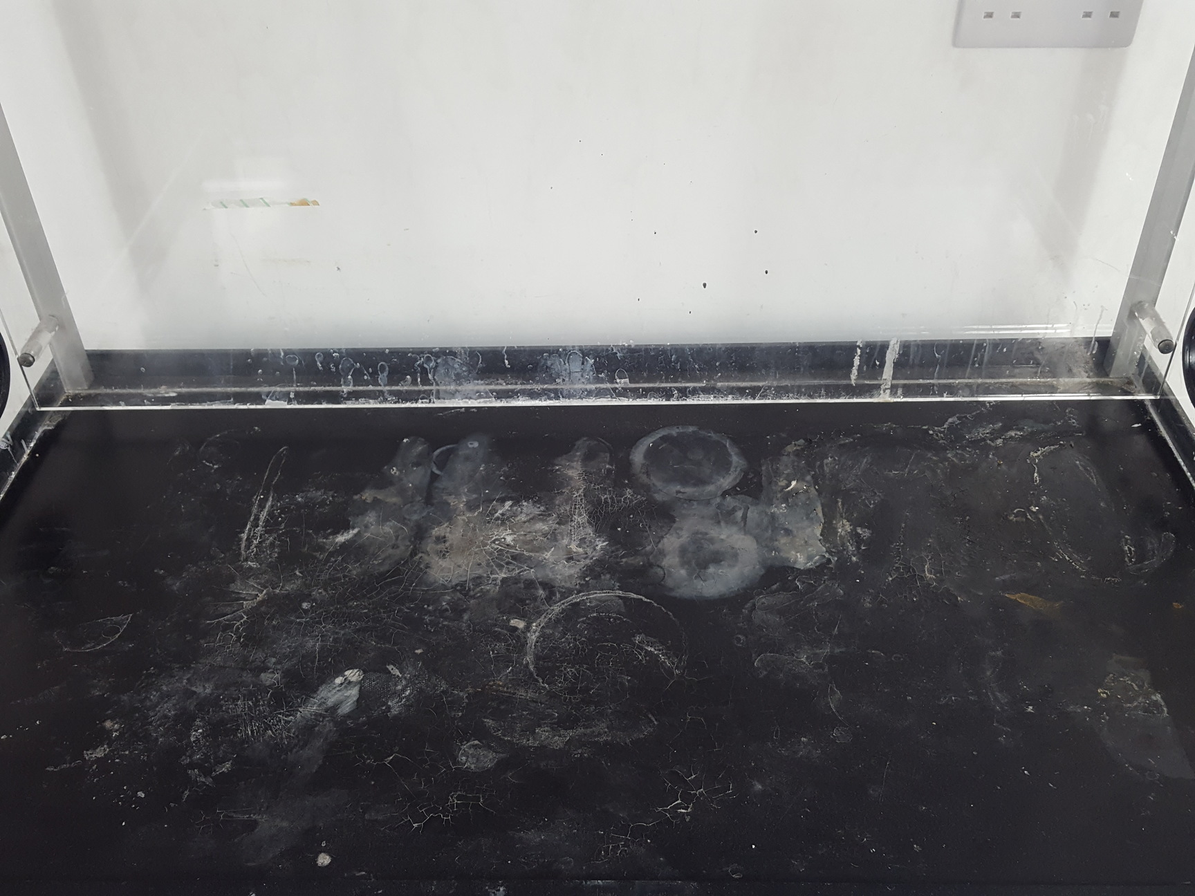 Image of Bigneat Containment Technology Model BC1004/1 Chemcap Safety Cabinet  Lab