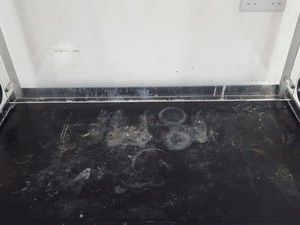 Thumbnail image of Bigneat Containment Technology Model BC1004/1 Chemcap Safety Cabinet  Lab