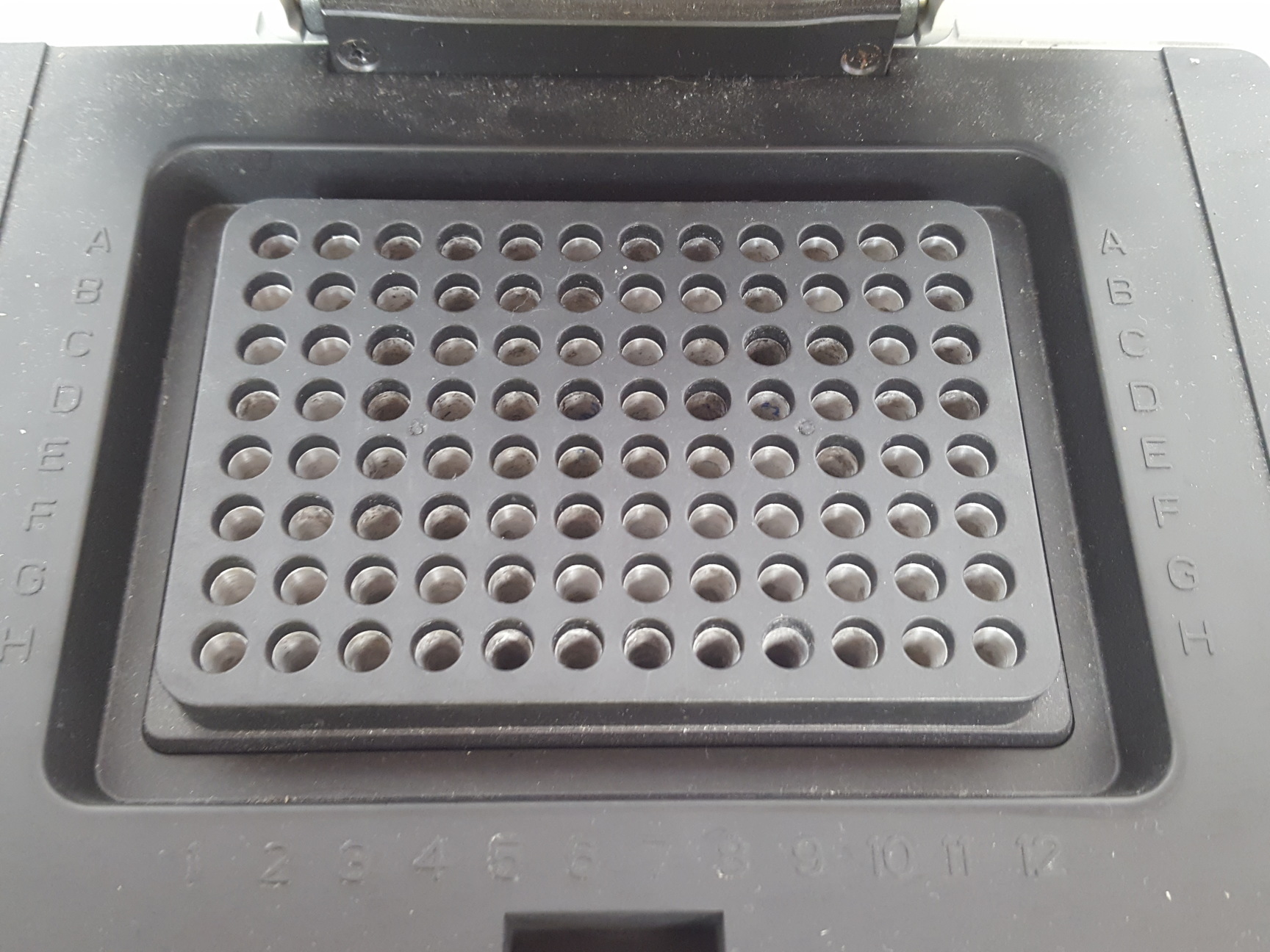 Image of BIOER PCR Thermal Cycler Life ECO  w/ Software Ver 2.04 Lab