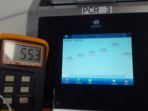 Thumbnail image of BIOER PCR Thermal Cycler Life ECO  w/ Software Ver 2.04 Lab