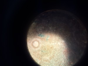 Thumbnail image of Prior PX031POL Monocular Lab Microscope + 3 x Objectives Lab - Spares Repairs