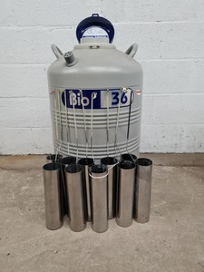 Thumbnail image of Statebourne Cryogenics BIO 36 Liquid Nitrogen Storage Dewar Lab