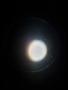 Thumbnail image of Kyowa Tokyo Compound Monocular Microscope with 3 x Objectives Lab