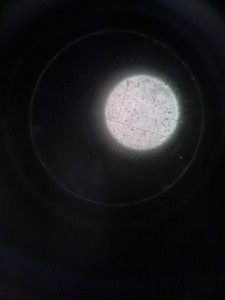 Thumbnail image of Kyowa Tokyo Compound Monocular Microscope with 3 x Objectives Lab