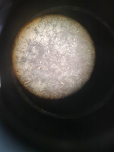 Thumbnail image of Carl Zeiss Jena Stereo Zoom Microscope with S 30/1D/G Power Supply