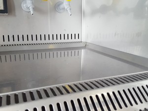 Thumbnail image of BioAir Safeflow S@feFlow 1.2 Class II Microbiological Safety Cabinet & Stand Lab