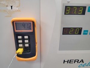 Thumbnail image of Heraeus HeraCell 240 CO2 Laboratory Incubator Lab