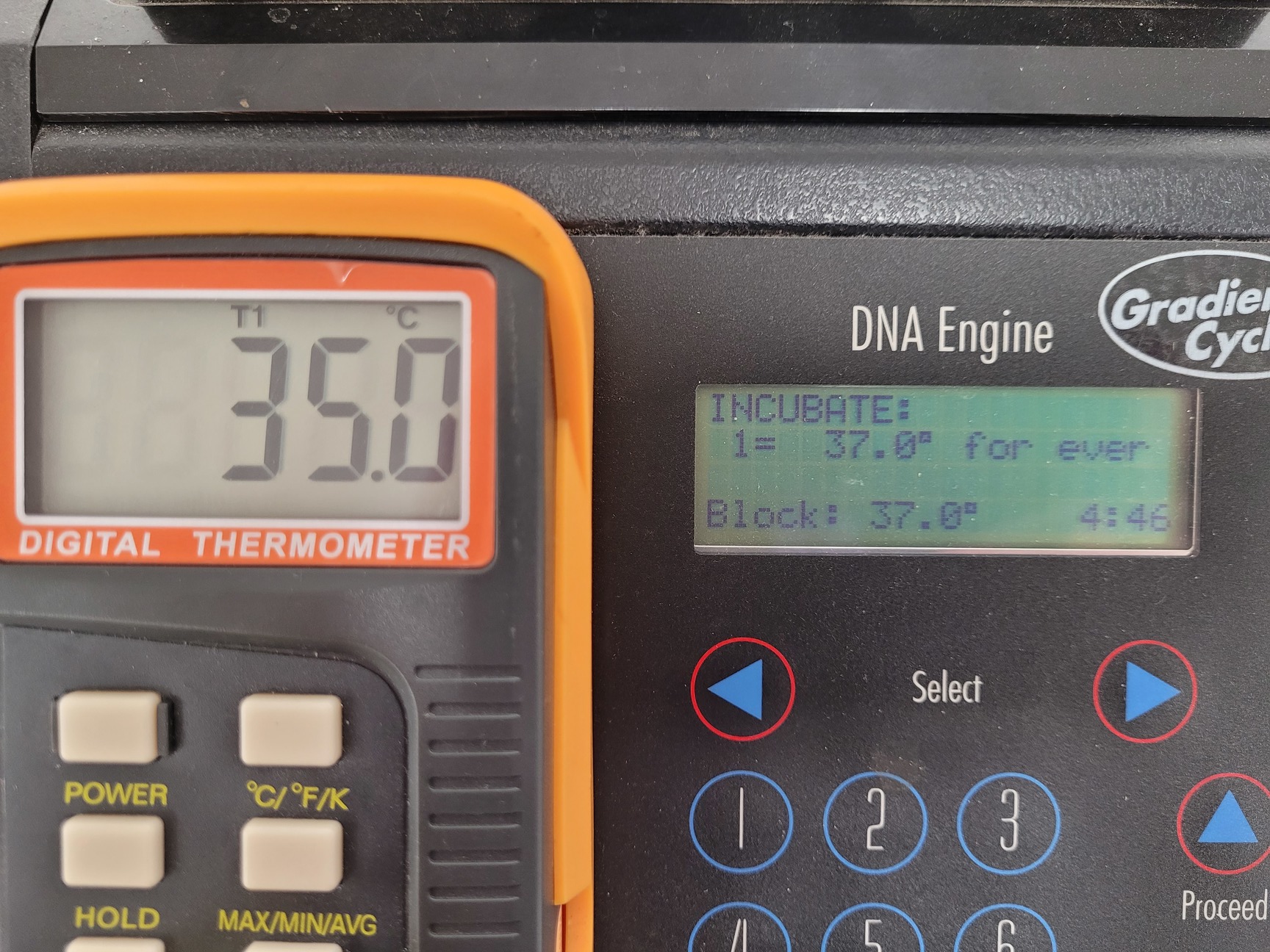 Image of MJ Research Peltier Thermal Cycler  Model - PTC-200 with 2 x Blocks Lab