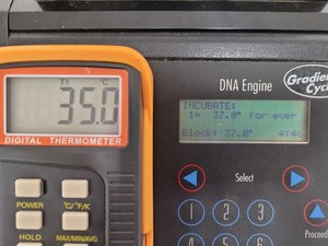 Thumbnail image of MJ Research Peltier Thermal Cycler  Model - PTC-200 with 2 x Blocks Lab