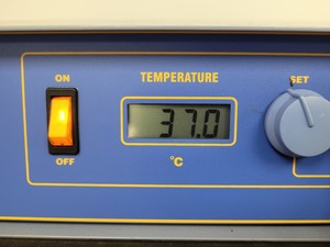 Thumbnail image of Stuart Orbital Benchtop Laboratory Incubator  Model - S150 Lab