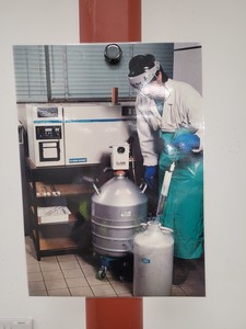 Thumbnail image of Planer Biomed Kryo 10 Series Automated Laboratory Freezer Cryostat Lab