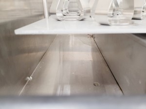 Thumbnail image of Kuhner Floor Standing Laboratory Incubator Shaker  Model - ISF-1-W Lab
