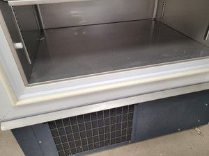 Thumbnail image of RS Biotech Ultra-Low Temperature Freezer Eclipse 600 - 05600-230 Lab