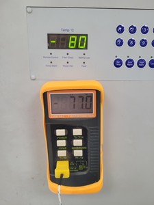 Thumbnail image of RS Biotech Ultra-Low Temperature Freezer Eclipse 600 - 05600-230 Lab