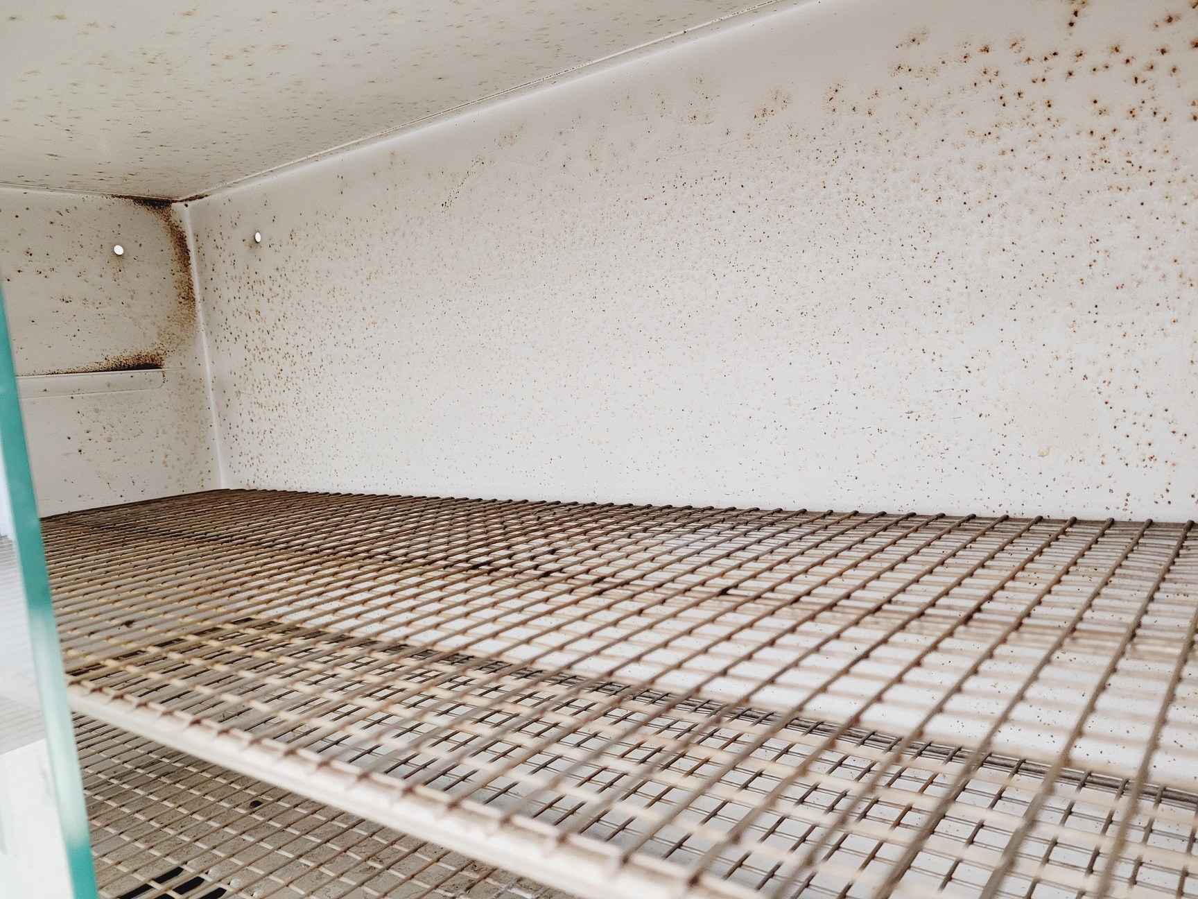 Image of B&T Laboratory Glassware Drying Cabinet Lab