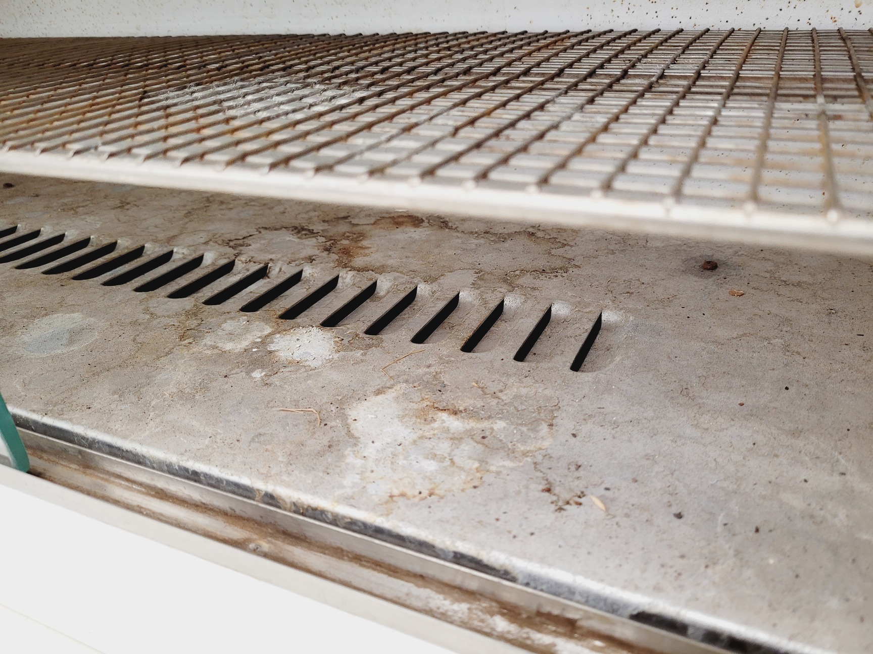 Image of B&T Laboratory Glassware Drying Cabinet Lab
