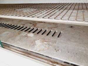 Thumbnail image of B&T Laboratory Glassware Drying Cabinet Lab
