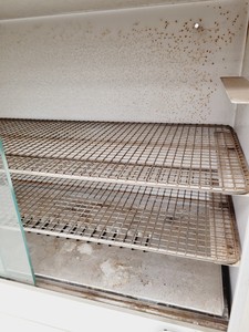 Thumbnail image of B&T Laboratory Glassware Drying Cabinet Lab