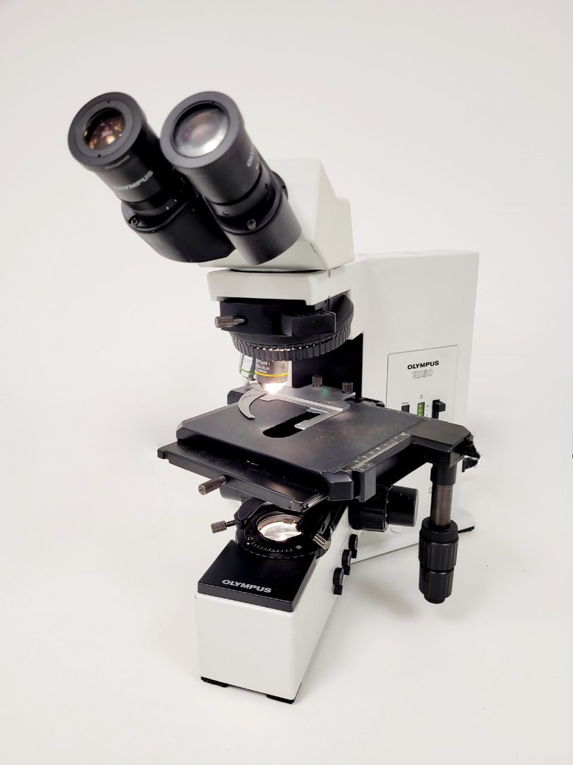 Image of item
