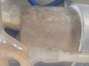 Thumbnail image of Fistreem 4 Litre hr -1 Water Purifier Still with Manual Lab