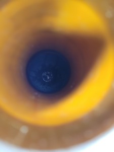 Thumbnail image of Taylor Wharton ALD 25 Liquid Nitrogen Dispensing Dewar Lab