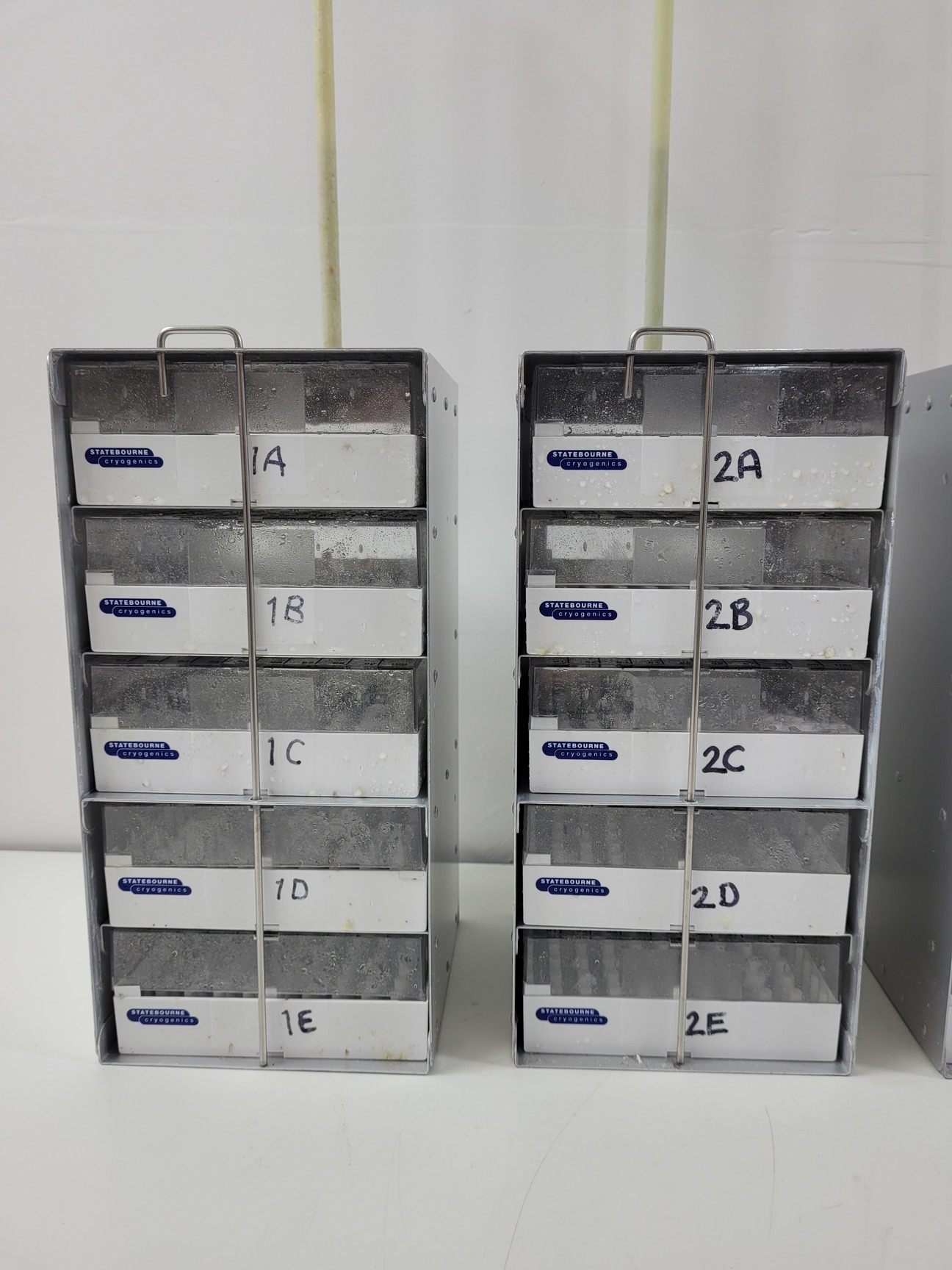 Image of Statebourne Cryogenics Biorack 3000 Liquid Nitrogen Sample Storage Dewar Lab