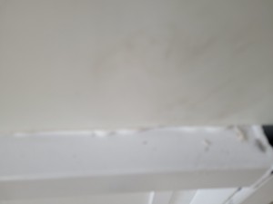 Thumbnail image of Microflow Laminar Flow Workstation Cabinet  Model MMM 118026 Lab