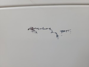 Thumbnail image of Heraeus B 6030 Benchtop Laboratory Incubator Lab