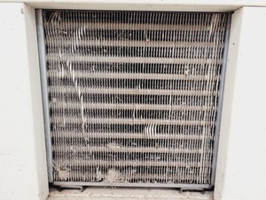 Thumbnail image of Snijders Scientific Microclima 1000 Large Plant Growth Chamber Incubator Lab