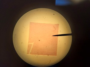 Thumbnail image of Leica ATC 2000 Compound Binocular Microscope with 4 x Achro Objectives Lab