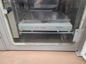 Thumbnail image of Gallenkamp Plus II Laboratory Incubator Cat No. IPL.075.FD1.C Lab