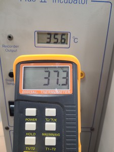 Thumbnail image of Gallenkamp Plus II Laboratory Incubator Cat No. IPL.075.FD1.C Lab