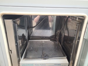 Thumbnail image of Gallenkamp Plus II Laboratory Incubator Cat No. IPL.075.FD1.C Lab