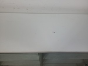 Thumbnail image of 4x  Square Laboratory Cabinets with Glass Sliding Doors Lab