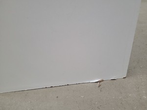 Thumbnail image of 4x  Square Laboratory Cabinets with Glass Sliding Doors Lab